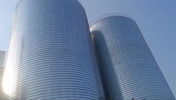 南关2座混凝土高架卷板仓